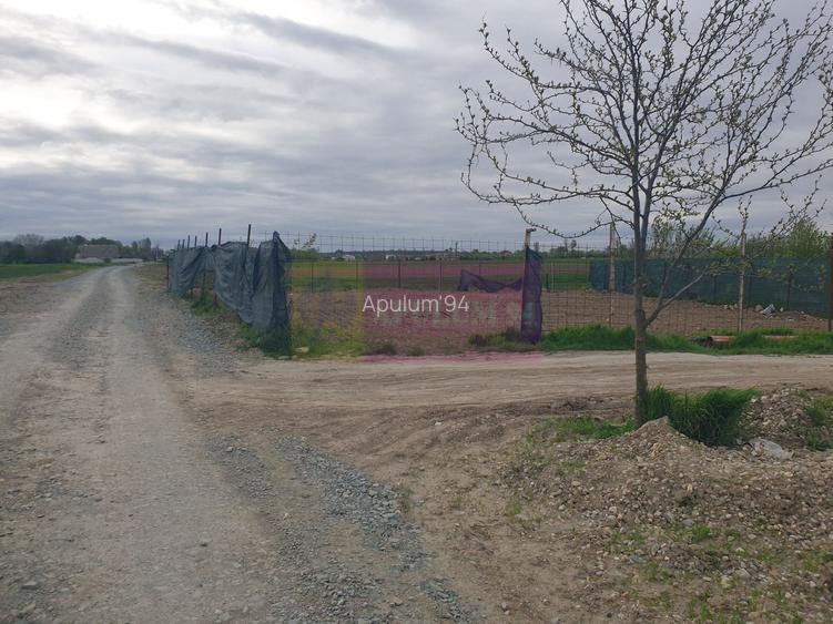 Teren ideal dezvoltare imobiliară în Măgurele strada Atmosferei - 18