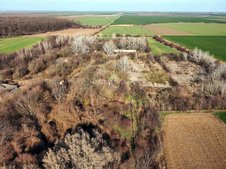 Ferma si livada de meri in judetul Ilfov - 25