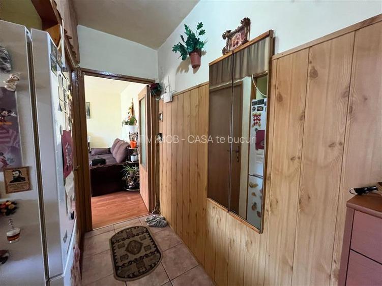 Lugoj, Ap. 2 Cam. Et. 2  Zona Unic - 22