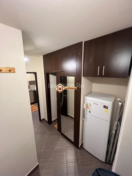 Apartament 1 camera Pacurari - 5