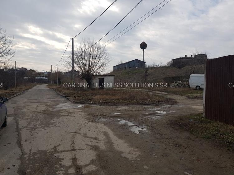 Glina, str. Morii, teren intravilan 10000 mp - 4