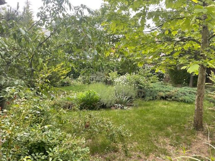 VILA INDIVIDUALA   P+1   PIPERA   DRUMUL BISERICII   1350MP TEREN - 7