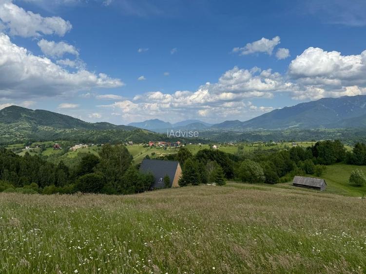 Teren inconjurat de natura de vanzare in Pestera - 2