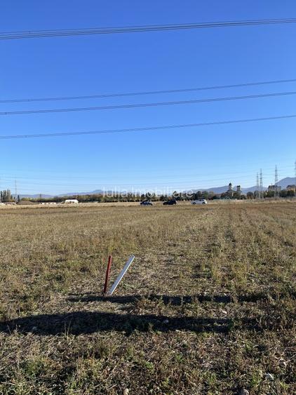 Teren intravilan Triaj - 7