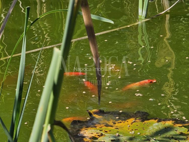 Casa 6 camere de vanzare in Tureni - 7