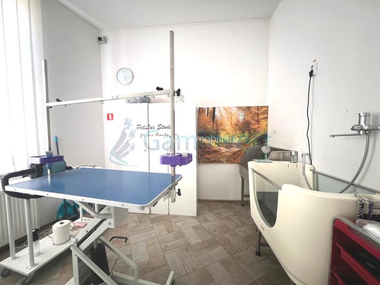 Spatiu comercial de inchiriat in Oradea cu echipament pentru coafura canina - 4