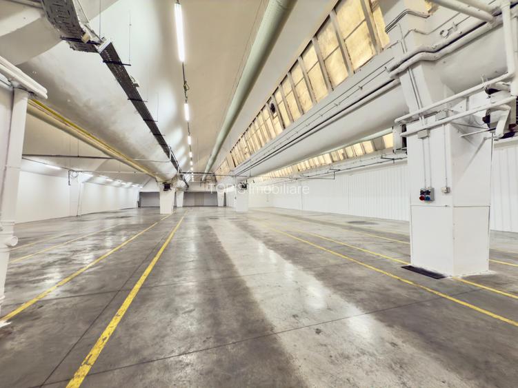 Pantelimon / Republica - Spațiu Industrial / Producție / Depozitare - 17