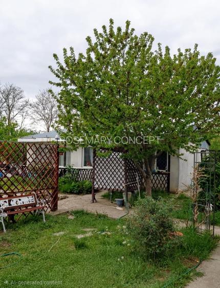 Casa Modernă + Casă de Oaspeți în Chișcani/ teren 1314 mp/panouri fotovoltaice - 2