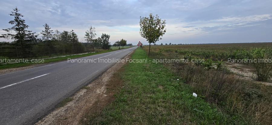 LIVADA  DE VANZARE FOCSANI-DUMBRAVITA  1,8  HA - 36