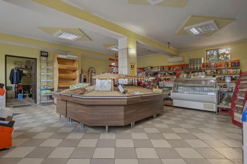 COMISION 0% | 2 Case cu Spatiu Comercial | Teren 1019mp | 540 eur/mp - 25
