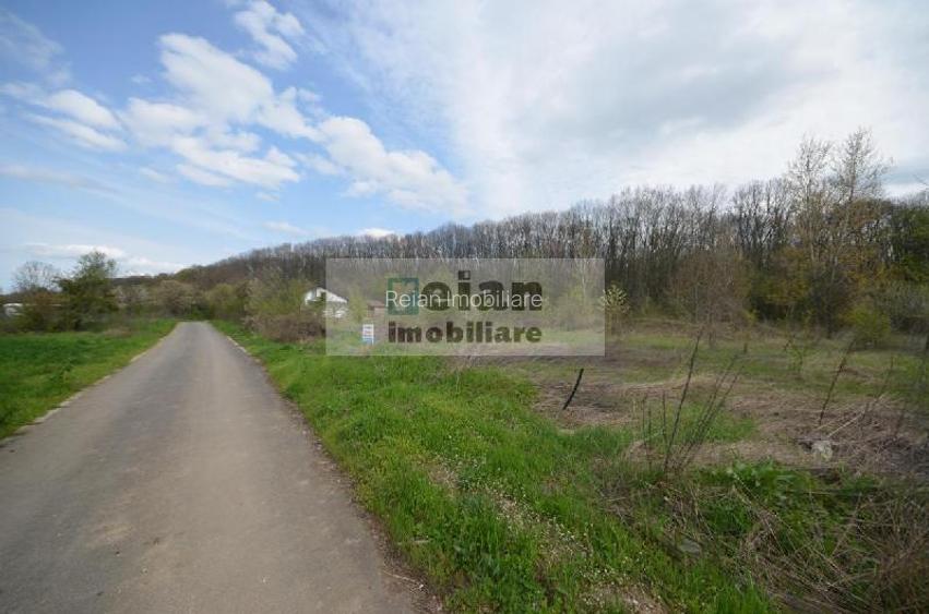 Snagov Crizantemelor Teren 3200mp, d 72ml, gaz, curent, asfalt, padure - 7