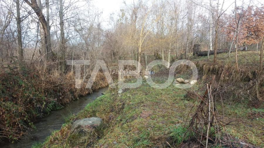 Teren intravilan 8000 mp cu anexa gospodareasca in Vistisoara - 5