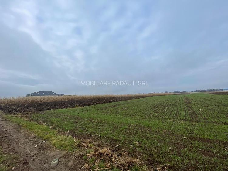 TEREN EXTRAVILAN 13 ARI | FRONT STRADAL 13 M | MARGINEA - 8