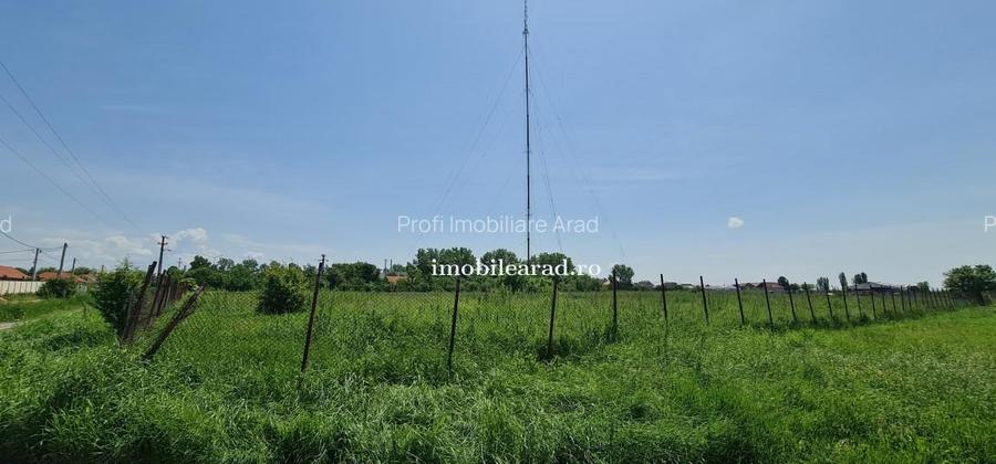 Teren intravilan 10.000mp cu utilitati, imprejmuit, Loc. Sanleani intre case, pr - 13