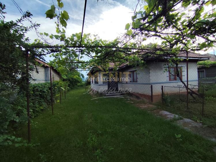 Casa si 2166 mp teren Magureni - 6