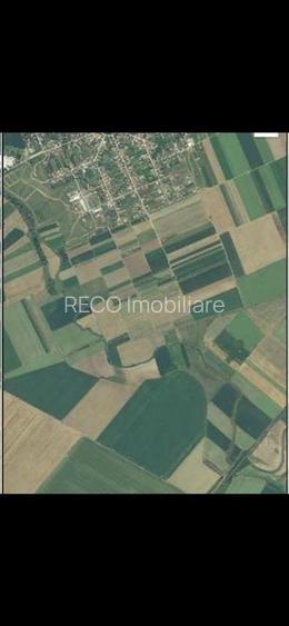 RECO Teren extravilan, zona Industriala in Livada de Bihor - 2