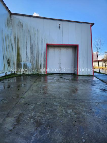 Hale depozit-productie industriala la 20 km de TM - 14