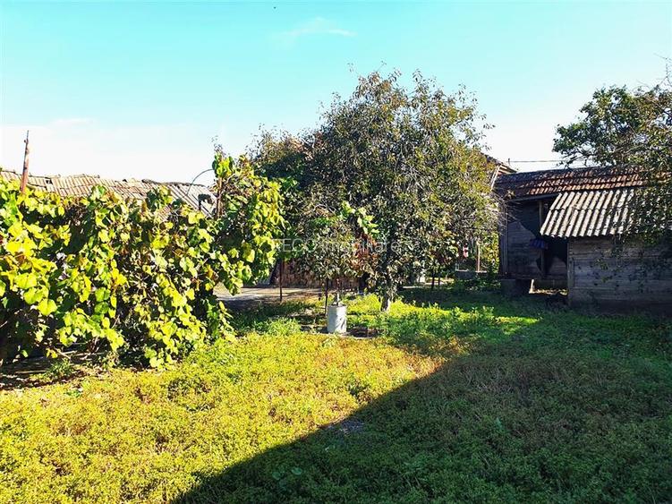 Casa cu teren in Cefa cu dublu front stradal - 19