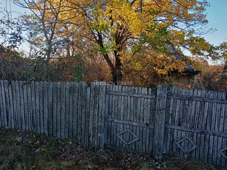 Vînd teren in Cuca Arges Loc Bălțata  - 5