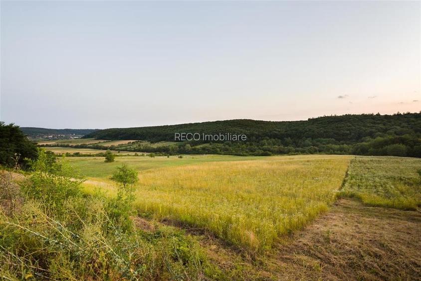 RECO Teren extravilan 11500 mp -Lazareni - 4