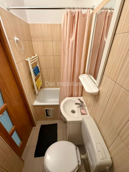 Garsoniera de inchiriat-Str. Lucian Blaga, Centru - 5