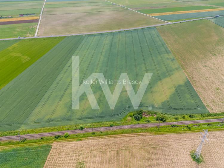 Teren de vanzare I 43 500 mp I Deschidere la drum - Harman - 20