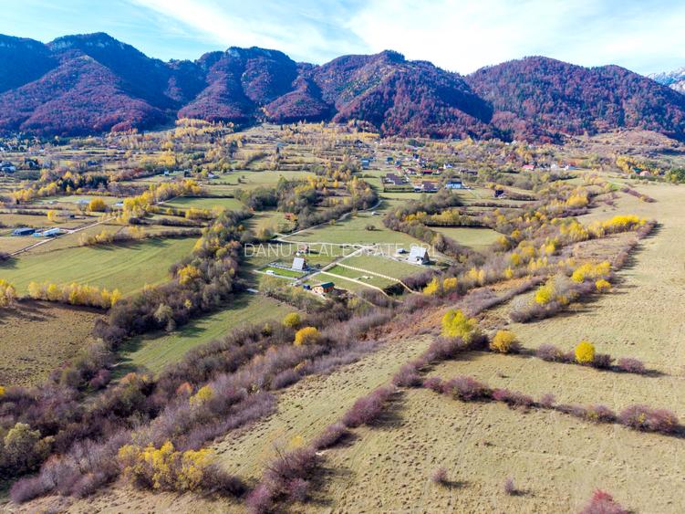 Teren intravilan 2500mp Tohanita Zarnesti- ideal casa de vacanta - 6