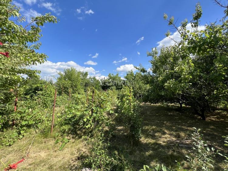 Casa-langa studiourile Buftea, 2 constructii, curte cu pomi, 2300mp, langa lac - 41