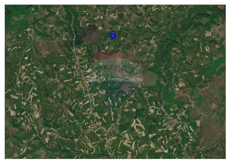 Oportunitate turistică în comuna Roșia 10.059 mp teren - 3