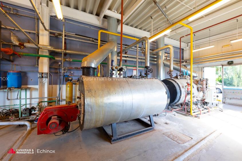 Timișoara - Depozit și birouri de vânzare - 8