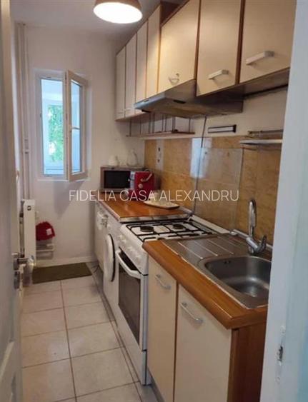 Apartament 1 camera Tudor - 7