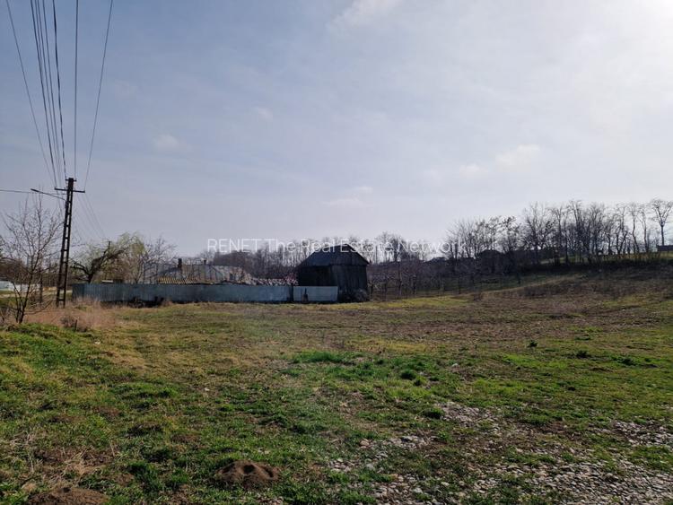 Teren - Roman  -Trifesti  - 5