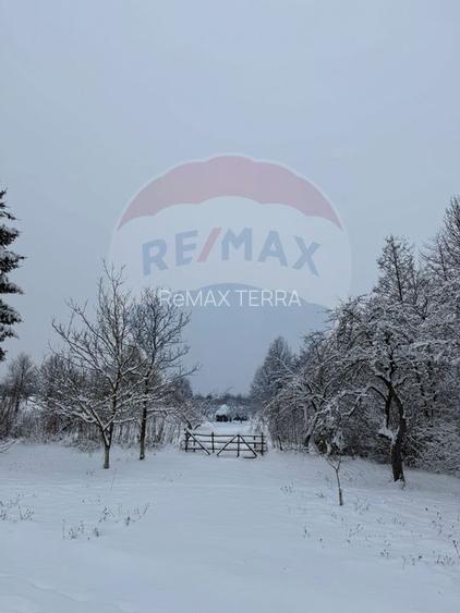 Teren în cea mai turistica localitate din Romania - Breb / Maramureș - 7