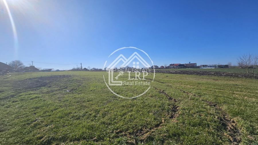 Loturi de Casa pe malul Lacului Creața, Dascălu – 460 mp + Drum servitute - 6