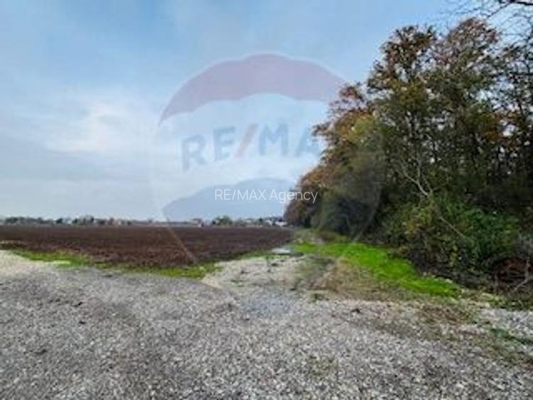 Teren Snagov /Soseaua Vladiceasca 553 sau 1109 mp Liziera Padurii - 3