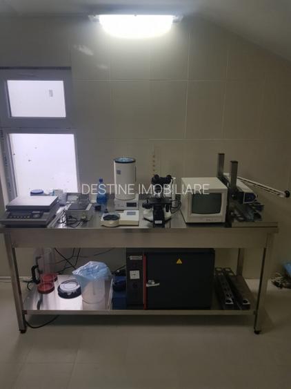 AFACERE LA CHEIE  FERMA DE  PORCI - 4