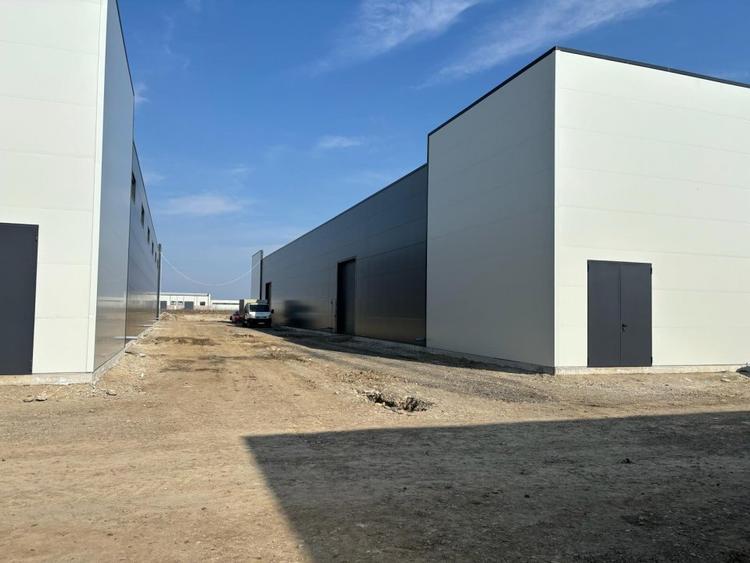 Hale de inchiriat Business Park Recon Mogosoaia 2