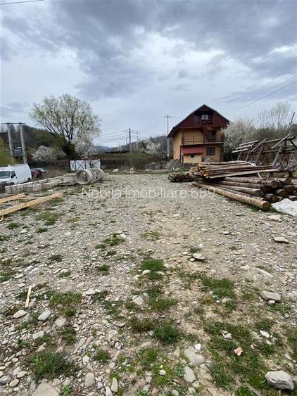 HALE-DEPOZIT DE VANZRE SI TEREN 10000 mp  AGAS jud.Bacau - 10