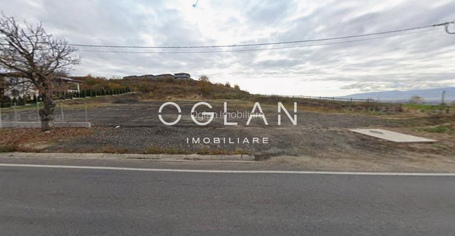 Teren Imprejmuit, la sosea (DN14)- SURA MARE - 2