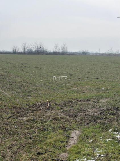 Teren de 9000mp, la intrarea in Filiasi ,la 300m de str. Racoteanu - 6