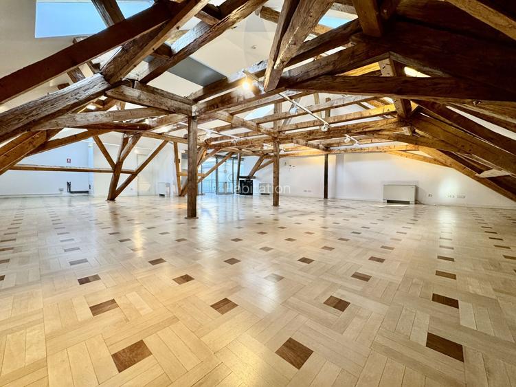 Spațiu Birou - Mansarda Cosy - 3