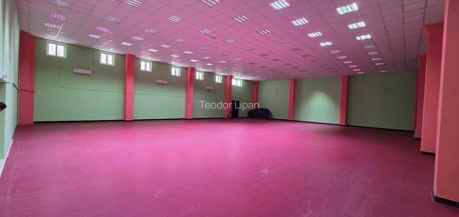 SPATIU COMERCIAL DE VANZARE SAU INCHIRIERE - 2
