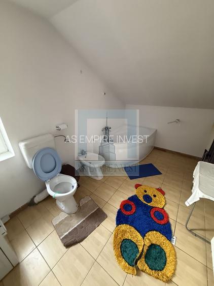 Casa/vila P+E+M, individuala ,730 mp teren-Timișul de jos/Dâmbul Morii - 23