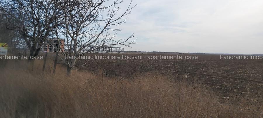 Terenuri intravilane de vanzare Focsani ,4,5 Ha Focsani - 11
