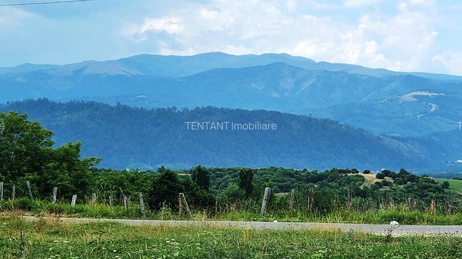 Vanzare Teren  construibil 5700mp Campul Lung Muscel - 5