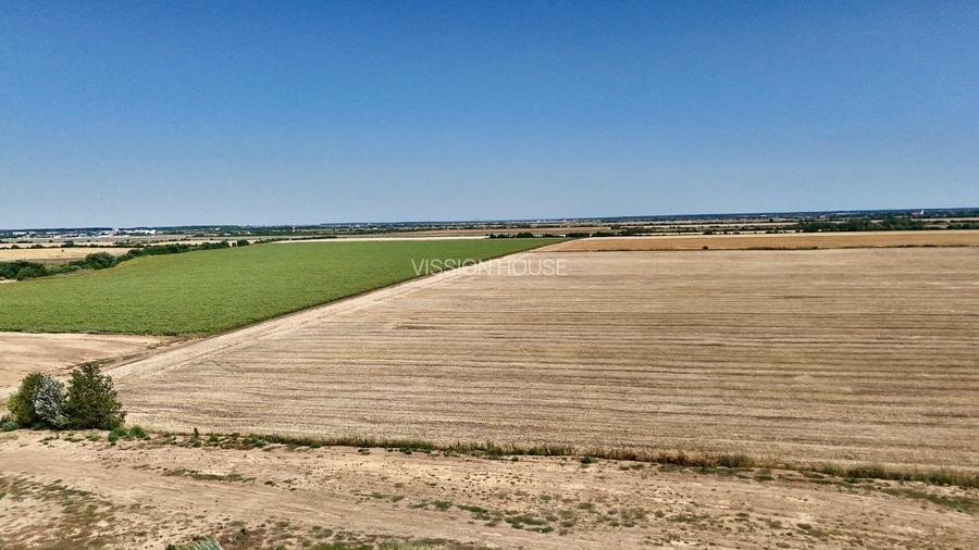 Teren 13629 mp Tunari | Tarla 23 - 4