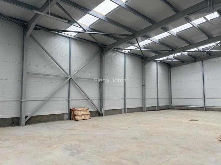 Hale de inchiriat 510 mp/buc , birouri - 6