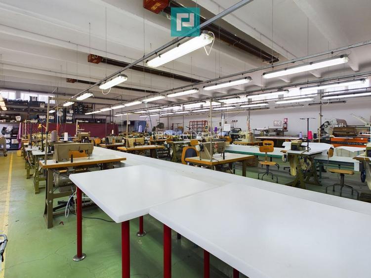 Spațiu industrial cu platformă betonată și teren - 10