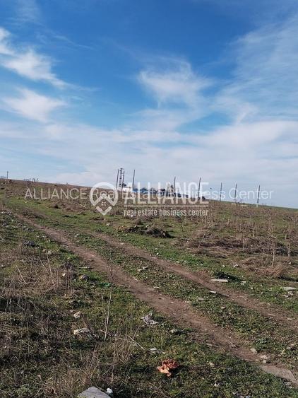 Techirghiol (cod04)-Teren 440 mp ideal investitie constructie casa - 5