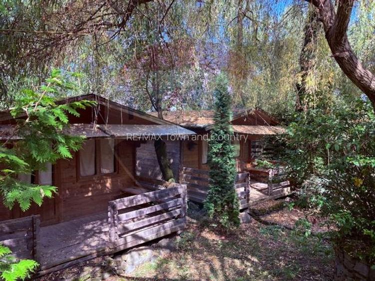 Ansamblu de 7 Căsuțe de Vacanță, Ocna Șugatag - 2